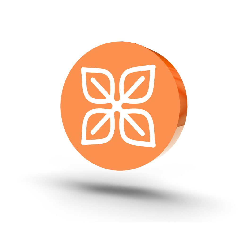 Credit Life Insurance